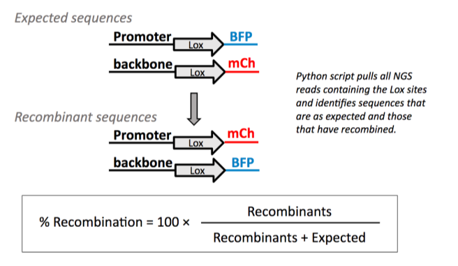 Recombination detection